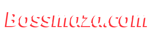 bossmaza.io.in